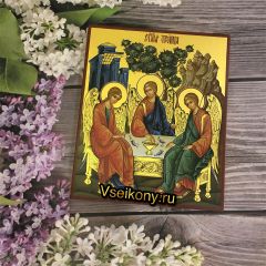 Рукописная икона Святая Троица 21 (Размер 17*21 см)